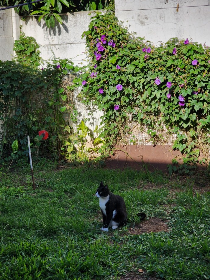 CASA A LA VENTA